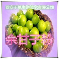 余甘子提取物 厂家生产易溶植物提取物 橄揽子浸膏