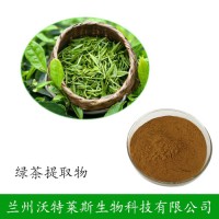 绿茶提取物 茶多酚98% 绿茶提取物 儿茶素