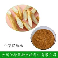 牛蒡提取物 牛蒡子根提取物 牛蒡子甙/苷