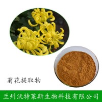 10:1高品质菊花提取物 现货 可定制 量大从优