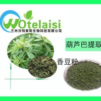 葫芦巴提取物 香豆粉 苦豆子粉