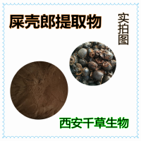 粪球虫提取物 厂家生产定制粪球虫天然浓缩流浸膏