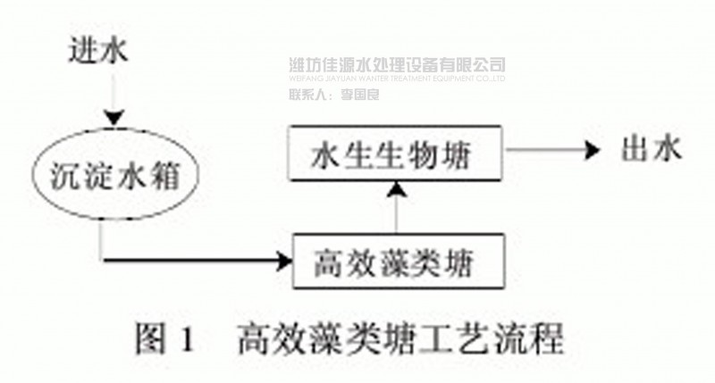 1高效藻类塘