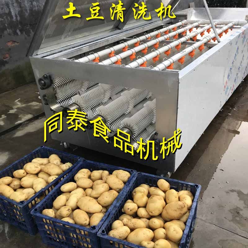 土豆清洗机3