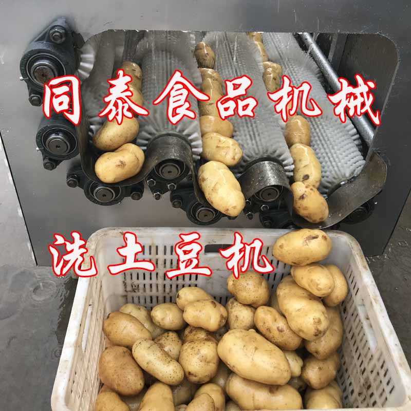 洗土豆机A