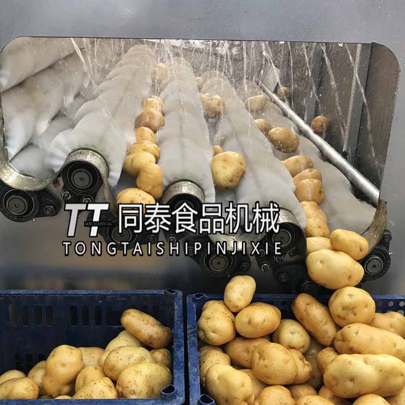 土豆水洗机7