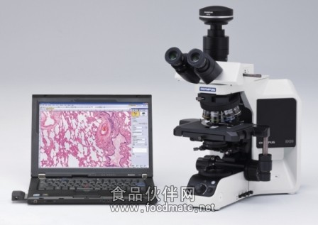 BX53生物显微镜