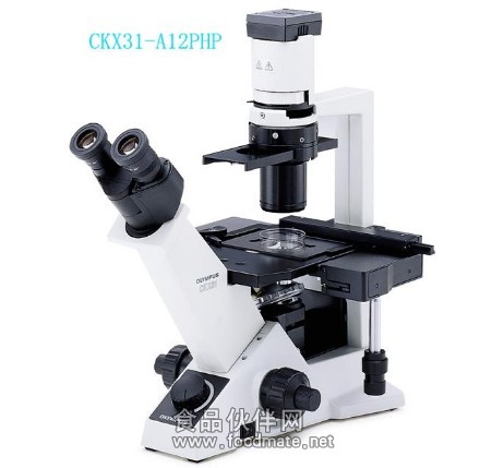 CKX31倒置显微镜