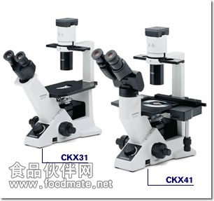 CKX41倒置显微镜