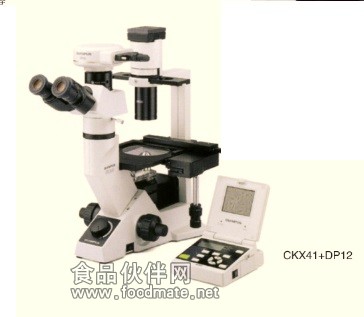 CX41显微镜
