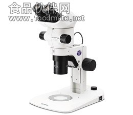 BX53显微镜