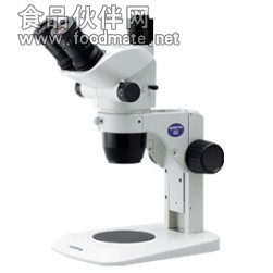 体视奥林巴斯SZ61显微镜