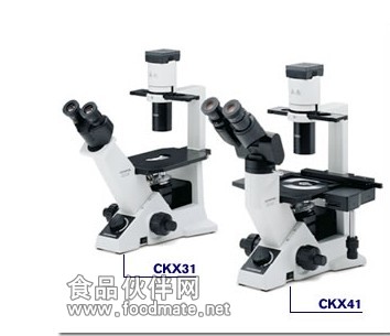 CKX31奥林巴斯倒置显微镜