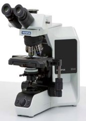 BX43显微镜