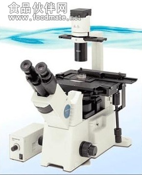 IX51奥林巴斯倒置生物显微镜