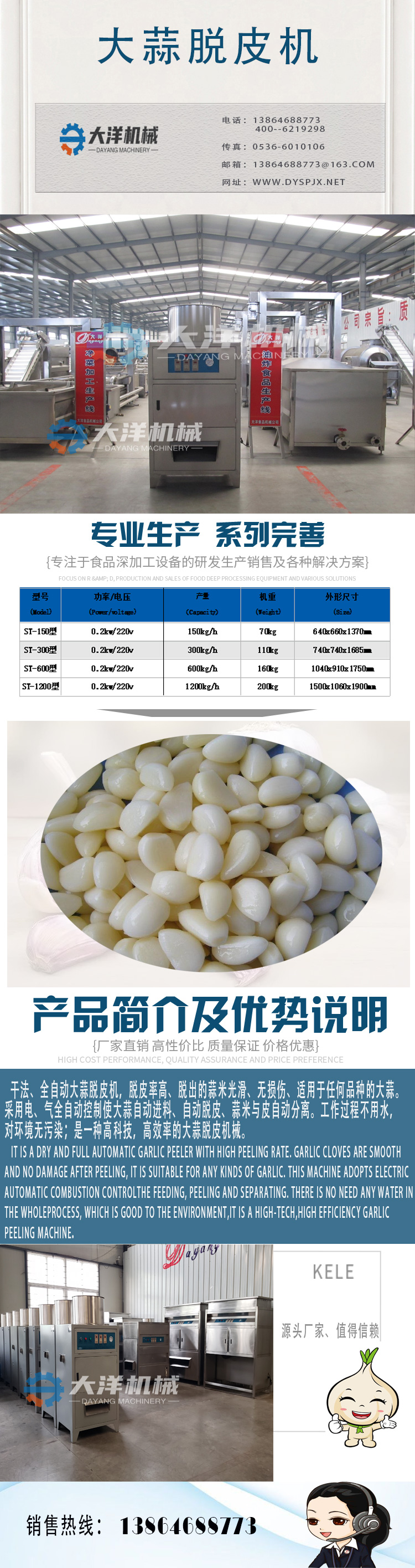 大洋-大蒜脱皮机详情_01
