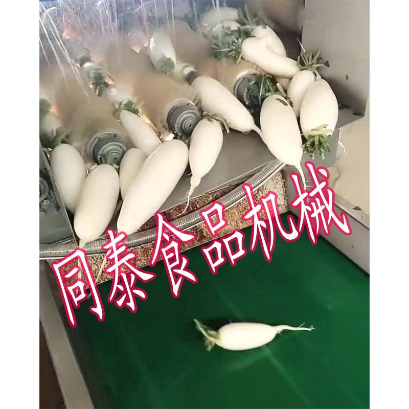 白萝卜清洗机17