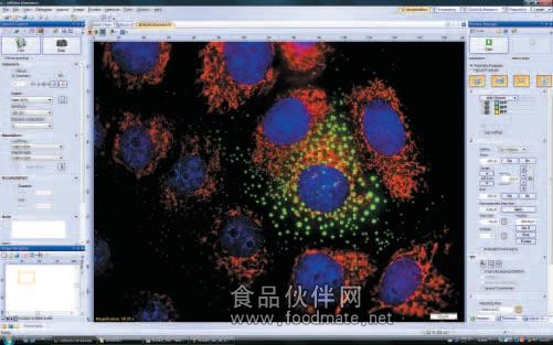 IX3 奥林巴斯cellSens成像软件