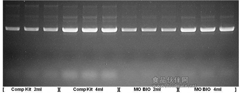 http://www.anbiosci.com/image/blog%20DNA%20Clean%20up2.jpg