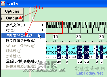 如何获取漂亮的ClustalX序列比对图片