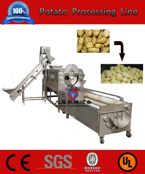 Potato processing line_副本