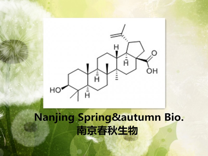 3.白桦脂酸_副本