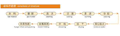 脱水蔬菜干燥机A3