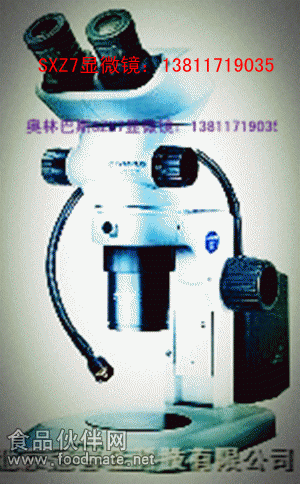 SZX7显微镜