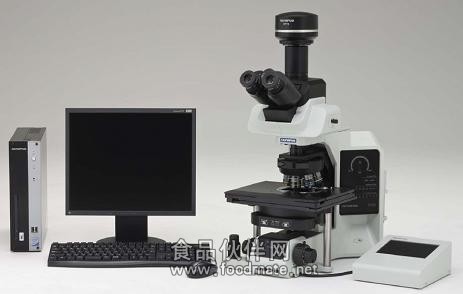 BX53显微镜