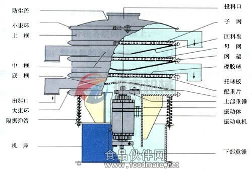 大蒜粉旋振筛结构图