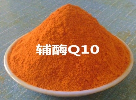 辅酶Q10