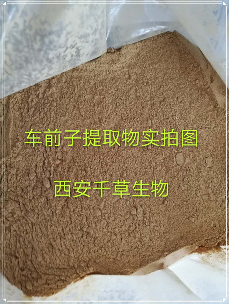 菇类提取物易溶粉