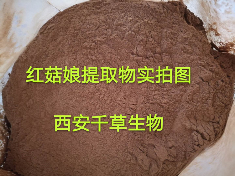 菇类提取物易溶粉