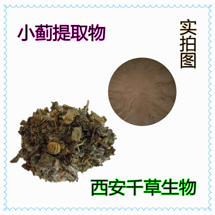 小蓟提取物