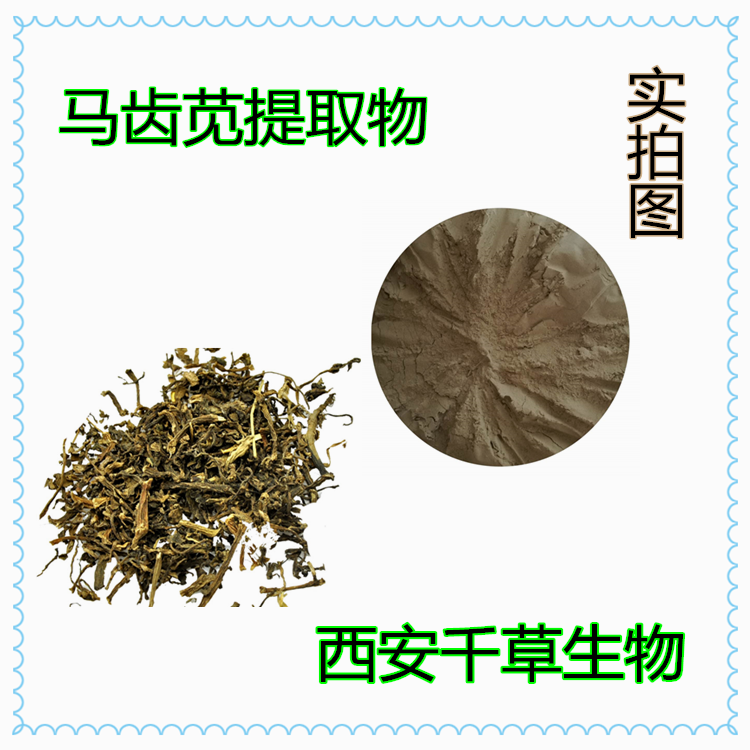 马齿苋提取物