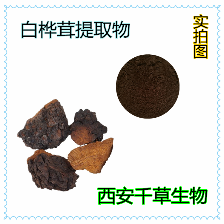 白桦茸提取物简约图