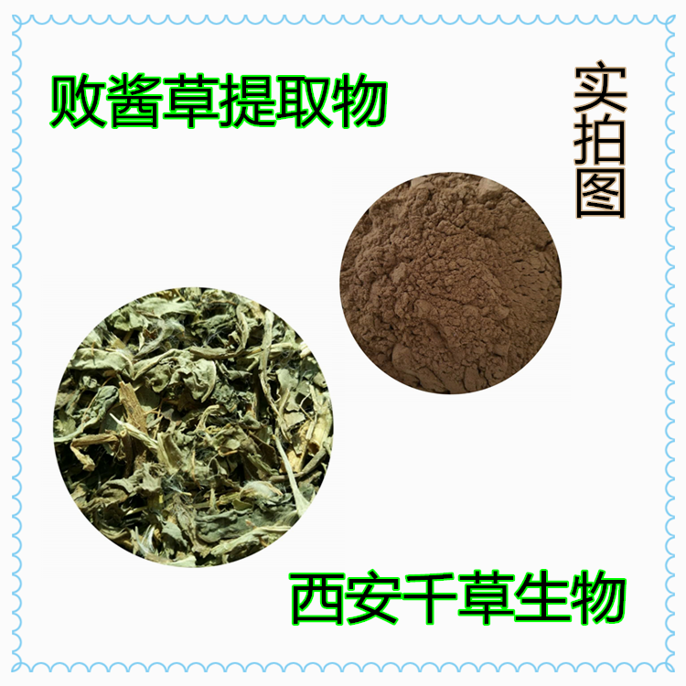 败酱草提取物