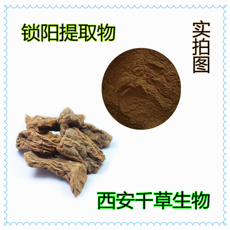 锁阳提取物