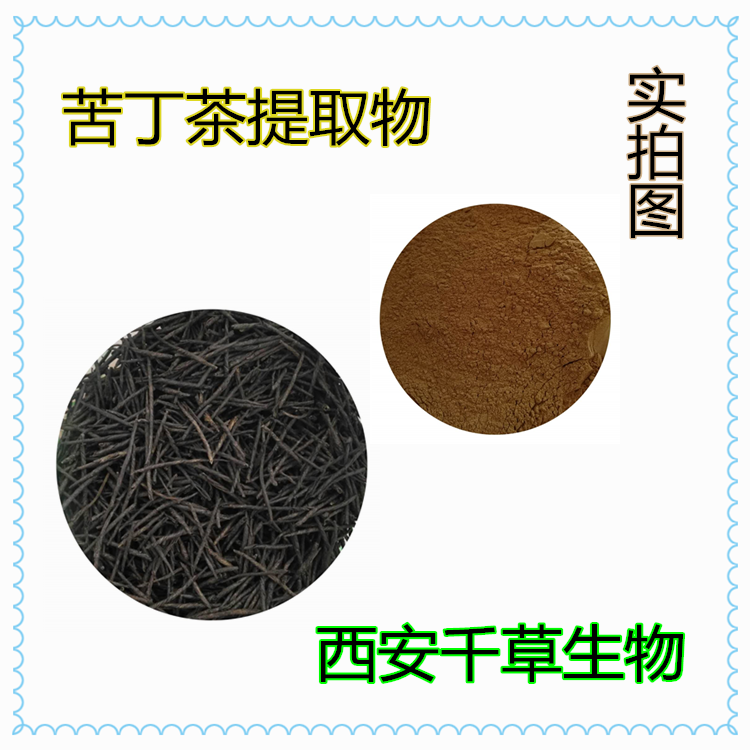 苦丁茶提取物