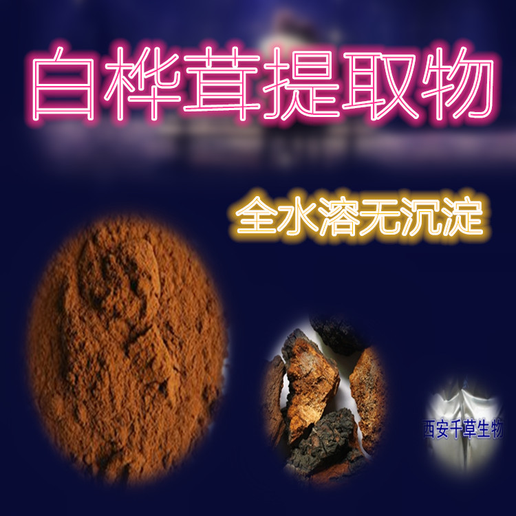 白桦茸提取物11