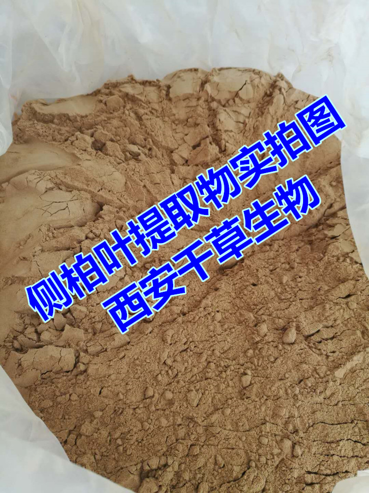 侧柏叶提取物