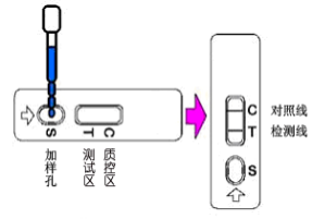 胶体金检测卡6