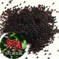 花椒籽提取物10:1 20:1花椒籽粉 浸膏1公斤起订