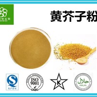 黄芥子粉 黄芥子速溶粉 生产厂家 品种多规格全 欢迎咨询