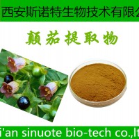 颠茄提取物 颠茄草提取物 提取物 斯诺特生物