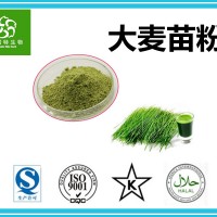 大麦苗粉 大麦苗汁粉 大麦苗膳食纤维粉 源头