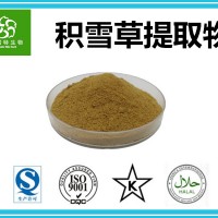 积雪草提取物10:1 扶风斯诺特 源头