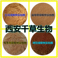 柿叶提取物 厂家生产植物提取物定做柿叶浓缩浸膏