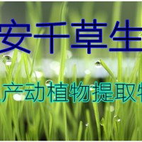 莲子心提取物 厂家生产植物提取物定做浓缩浸膏