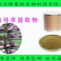 益母草提取物 盐酸水苏碱 全水溶